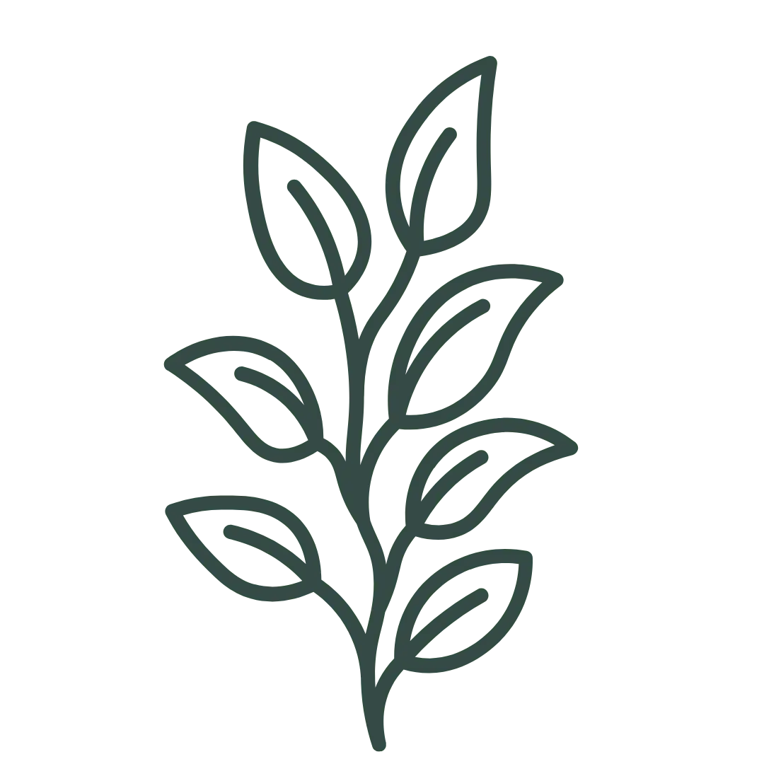 Baja Tulang – Pokok Co.